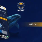 إعلانات UGC